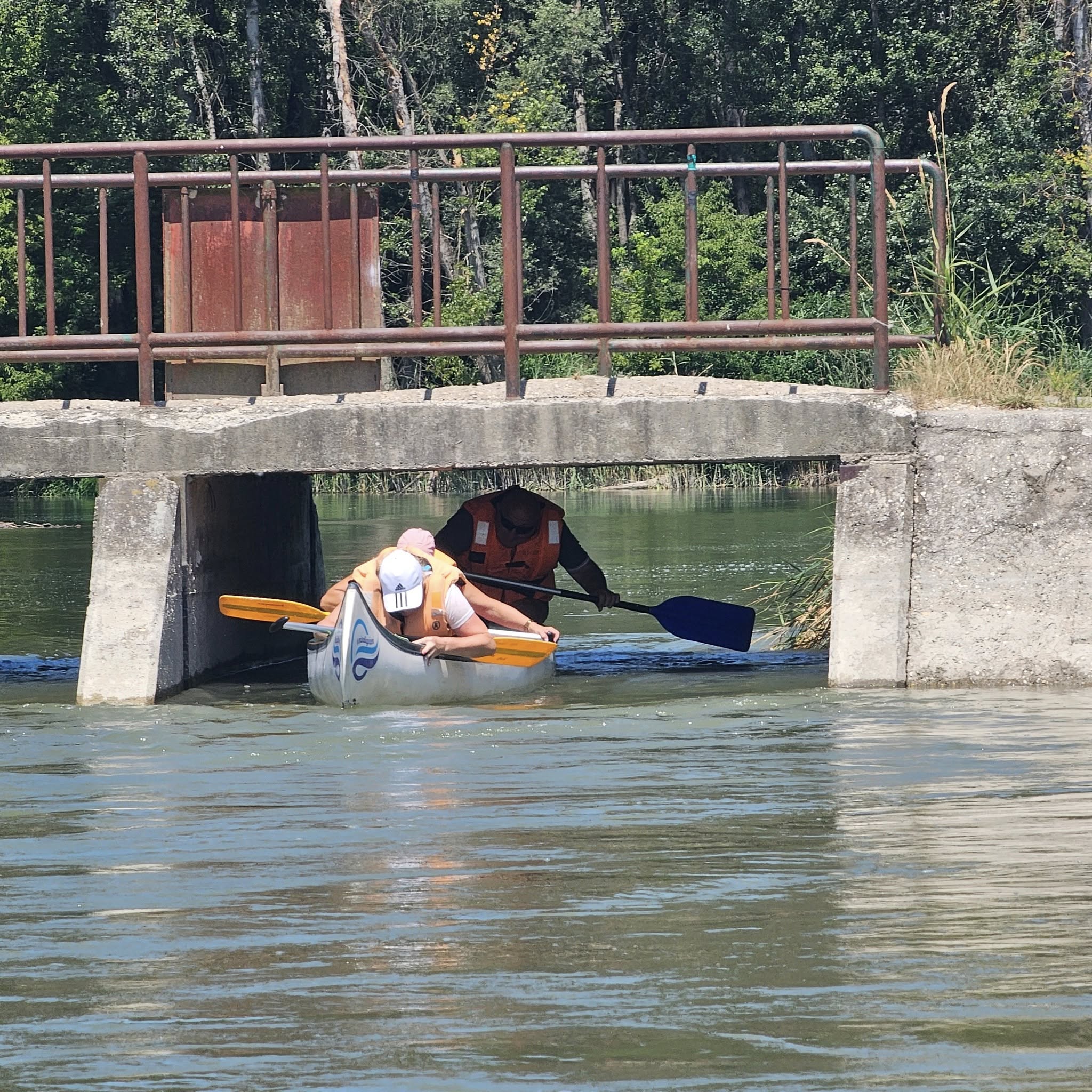 Félnapos túrák - MindigVízen