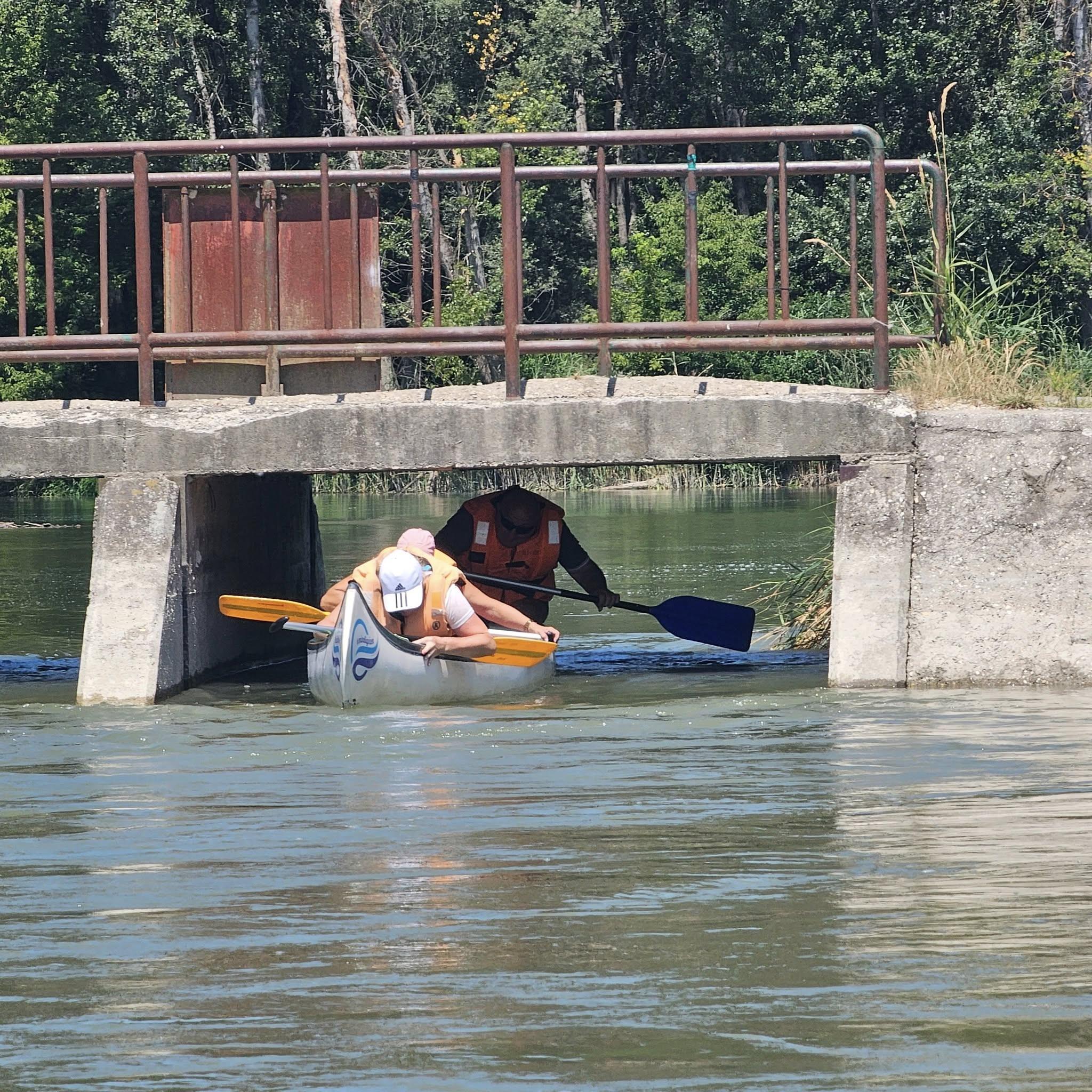 Szilfási ág - Félnapos vízitúra - MindigVízen