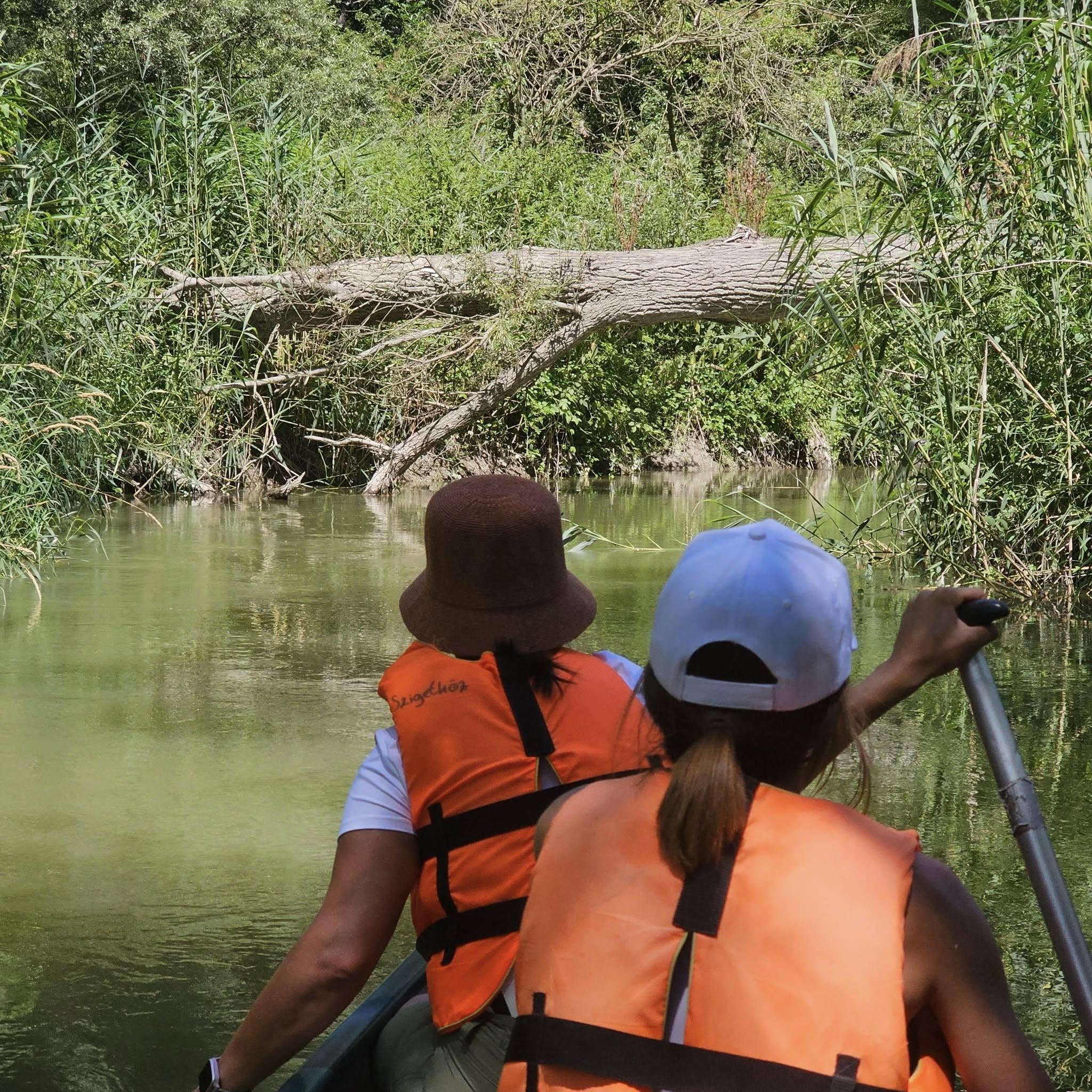 Szilfási ág - Félnapos vízitúra - MindigVízen