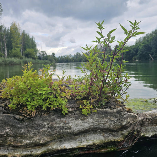 Bagamér - kör - Egynapos túra - MindigVízen
